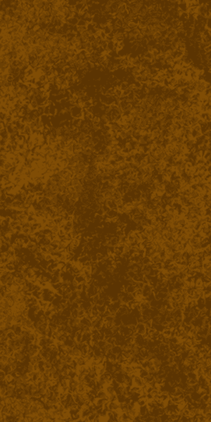 6064/03-DS