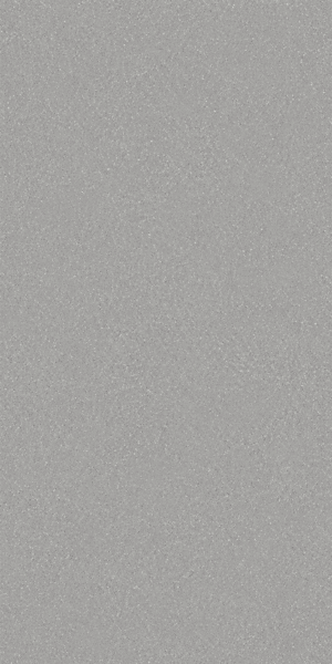 LIGHT GRAY NATURAL CONCRETE